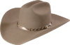 Ковбойская шляпа Stetson Stone Portage 4X Buffalo Fur Blend - 096c13_c3_p1_550x550.jpg